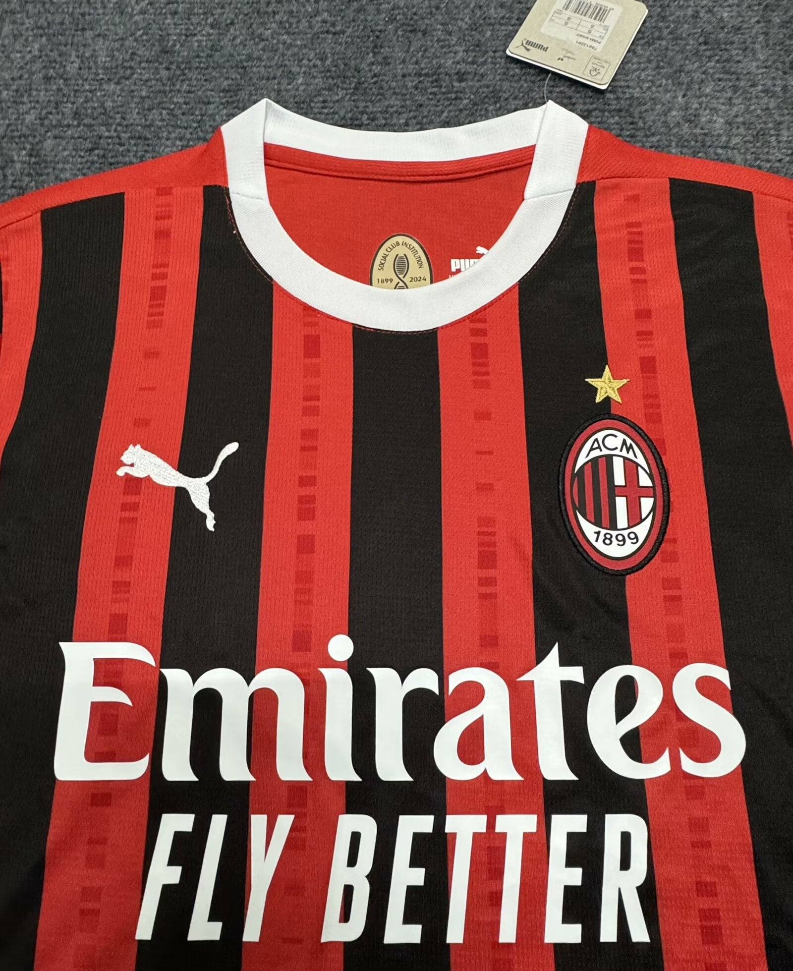 Camiseta Milan 24/25