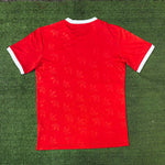 Camiseta del Bayern Munchen 24/25