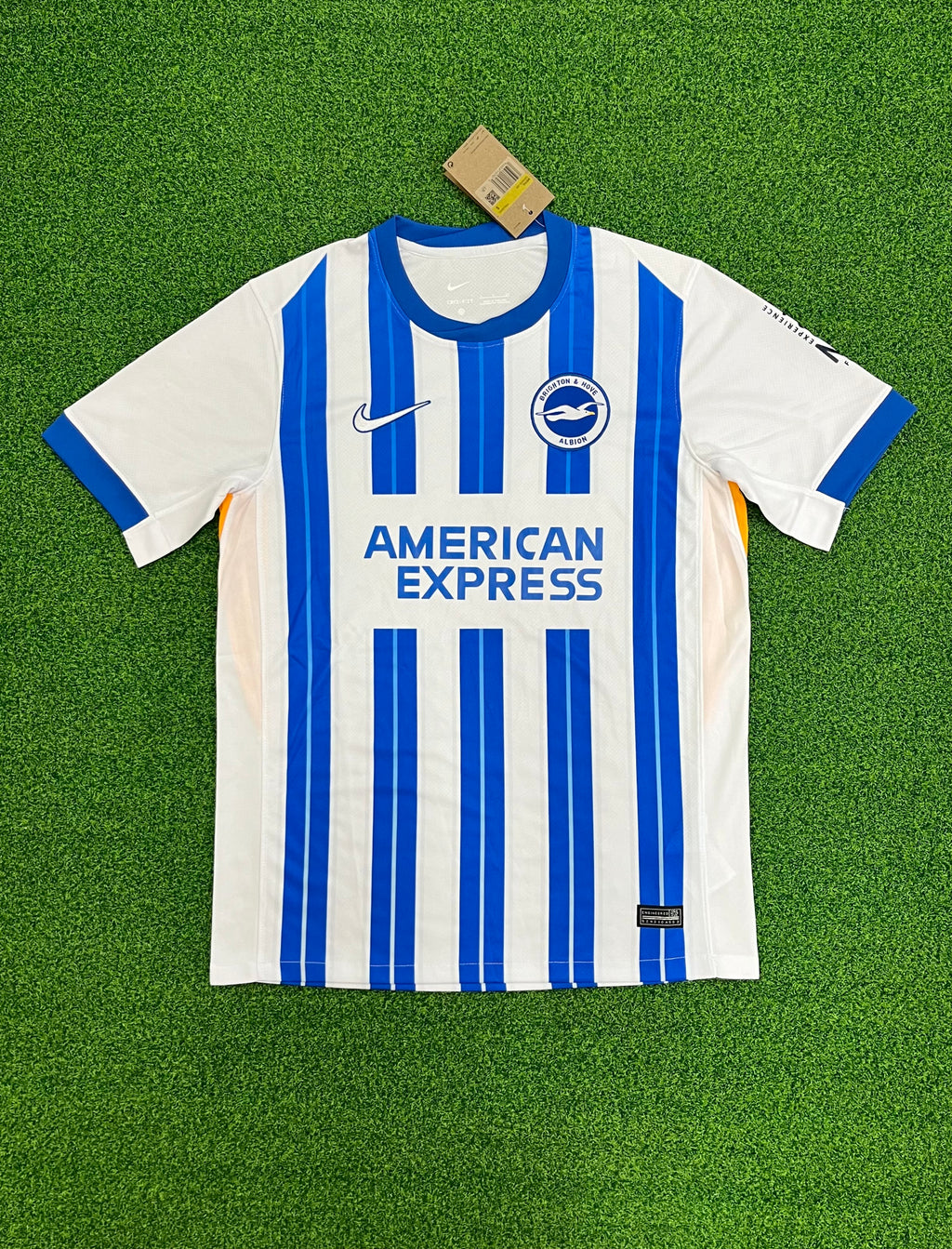 Camiseta del Brighton 24/25