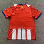 Camiseta del Girona 24/25