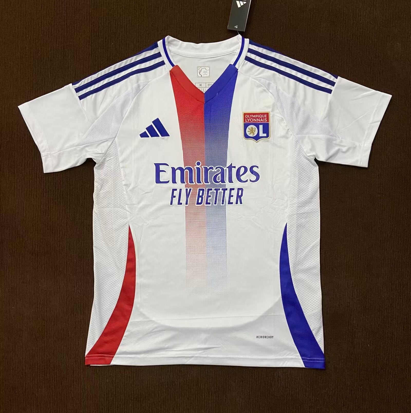 Camiseta del Olympique Lyon 24/25