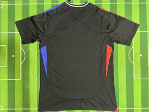 Camiseta del Olympique Lyon 24/25 Visita