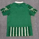 Camiseta del Palmeiras 25/26